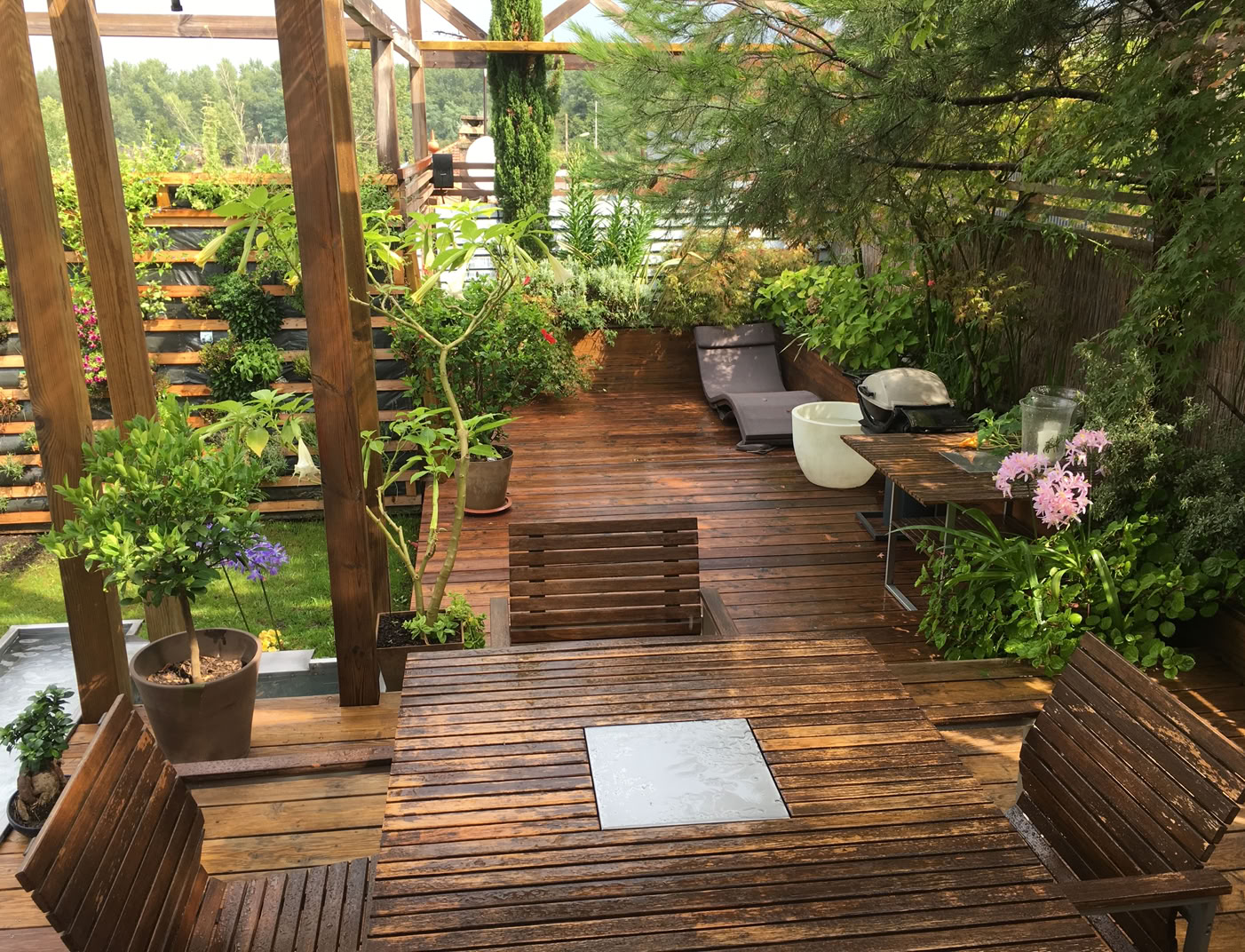 Terrasse extérieure en bois avec pergola et végétation.